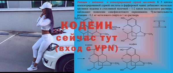 молекула духа Волосово